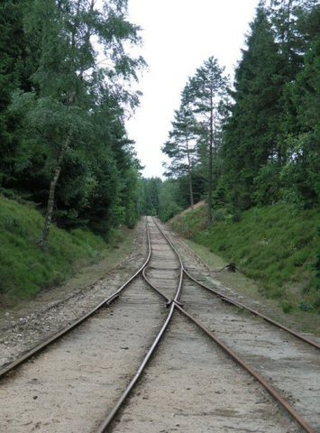 Udkørsel fra Vrads